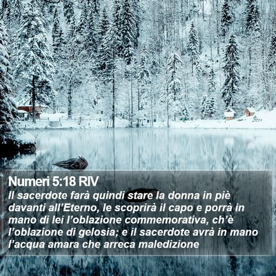 Numeri 5:18 RIV Bible Verse Image