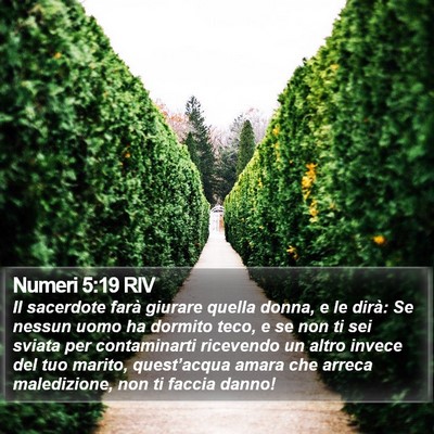 Numeri 5:19 RIV Bible Verse Image