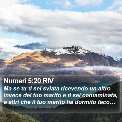 Numeri 5:20 RIV Bible Verse Image