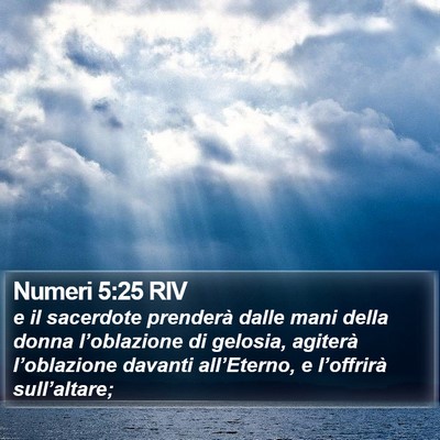 Numeri 5:25 RIV Bible Verse Image