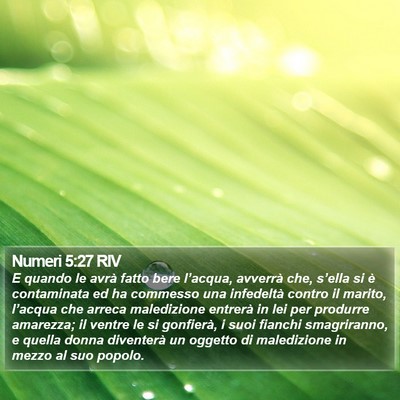 Numeri 5:27 RIV Bible Verse Image