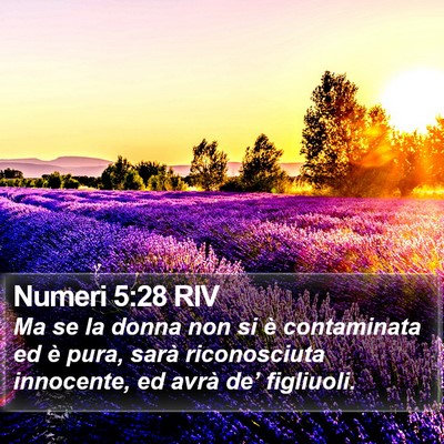 Numeri 5:28 RIV Bible Verse Image