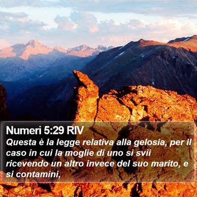 Numeri 5:29 RIV Bible Verse Image