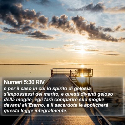 Numeri 5:30 RIV Bible Verse Image