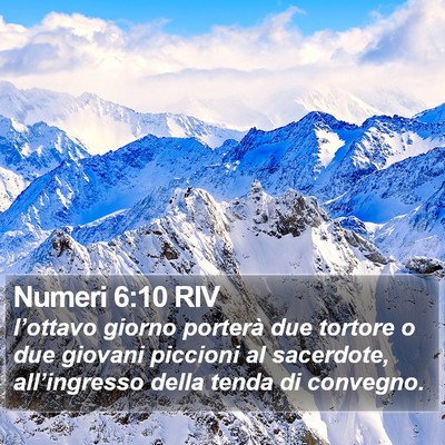 Numeri 6:10 RIV Bible Verse Image
