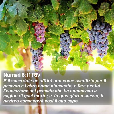 Numeri 6:11 RIV Bible Verse Image