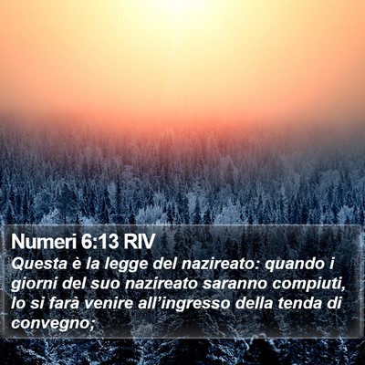 Numeri 6:13 RIV Bible Verse Image