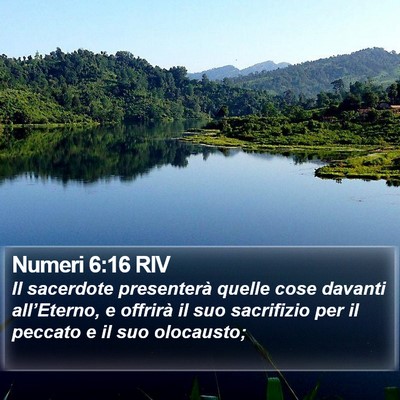 Numeri 6:16 RIV Bible Verse Image