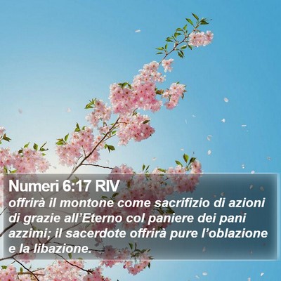 Numeri 6:17 RIV Bible Verse Image