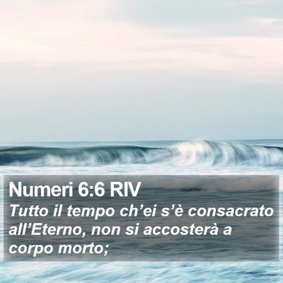 Numeri 6:6 RIV Bible Verse Image