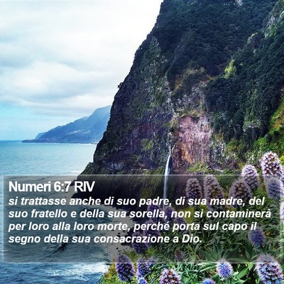 Numeri 6:7 RIV Bible Verse Image