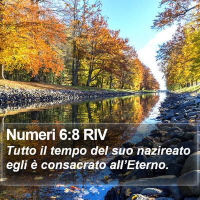 Numeri 6:8 RIV Bible Verse Image