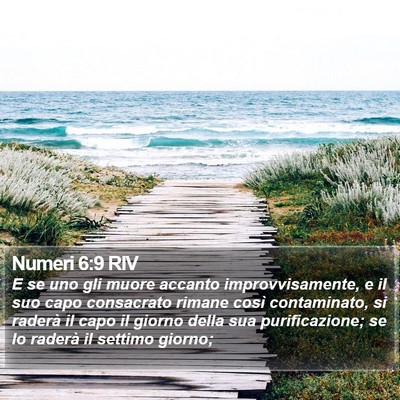 Numeri 6:9 RIV Bible Verse Image