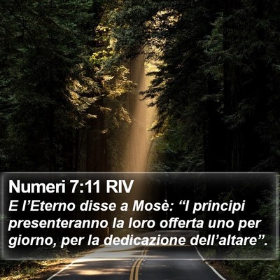 Numeri 7:11 RIV Bible Verse Image