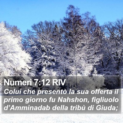 Numeri 7:12 RIV Bible Verse Image
