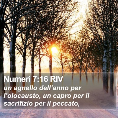 Numeri 7:16 RIV Bible Verse Image