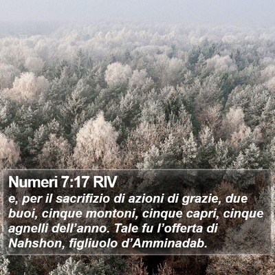 Numeri 7:17 RIV Bible Verse Image