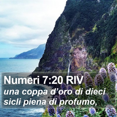 Numeri 7:20 RIV Bible Verse Image