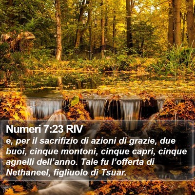 Numeri 7:23 RIV Bible Verse Image
