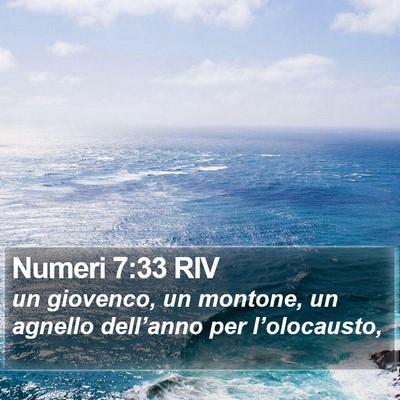 Numeri 7:33 RIV Bible Verse Image