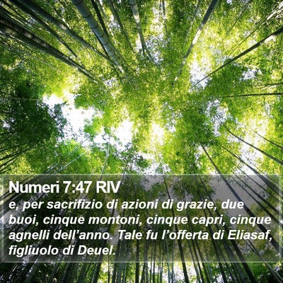 Numeri 7:47 RIV Bible Verse Image