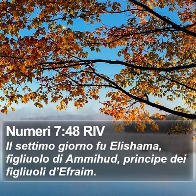 Numeri 7:48 RIV Bible Verse Image