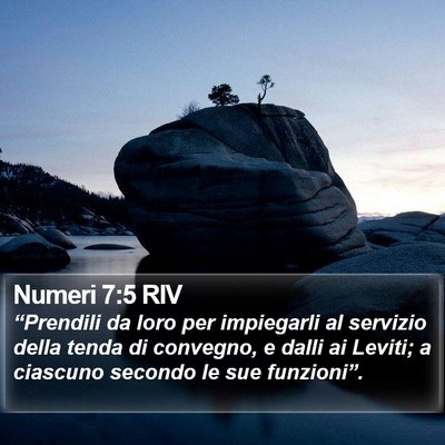 Numeri 7:5 RIV Bible Verse Image