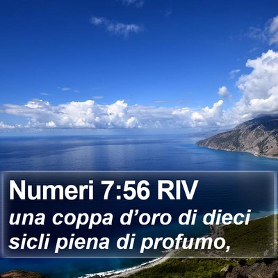 Numeri 7:56 RIV Bible Verse Image