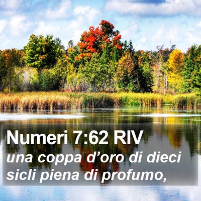 Numeri 7:62 RIV Bible Verse Image