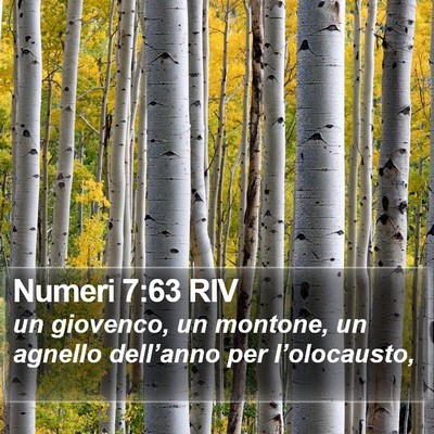 Numeri 7:63 RIV Bible Verse Image