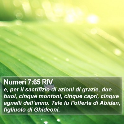 Numeri 7:65 RIV Bible Verse Image
