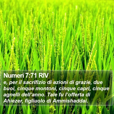 Numeri 7:71 RIV Bible Verse Image