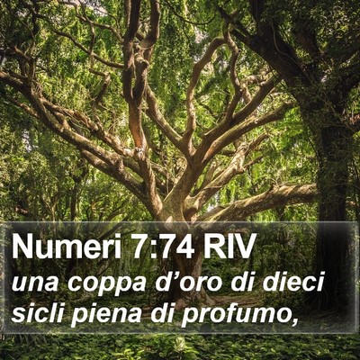 Numeri 7:74 RIV Bible Verse Image
