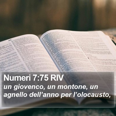 Numeri 7:75 RIV Bible Verse Image