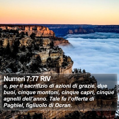Numeri 7:77 RIV Bible Verse Image