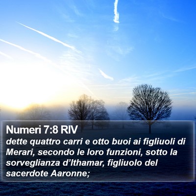 Numeri 7:8 RIV Bible Verse Image