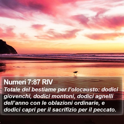 Numeri 7:87 RIV Bible Verse Image