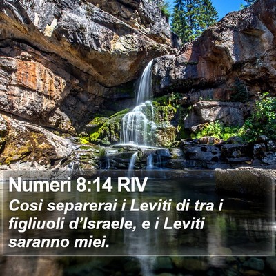 Numeri 8:14 RIV Bible Verse Image