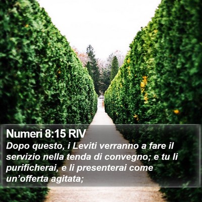 Numeri 8:15 RIV Bible Verse Image