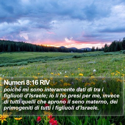 Numeri 8:16 RIV Bible Verse Image