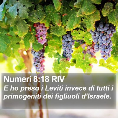 Numeri 8:18 RIV Bible Verse Image