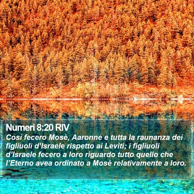 Numeri 8:20 RIV Bible Verse Image