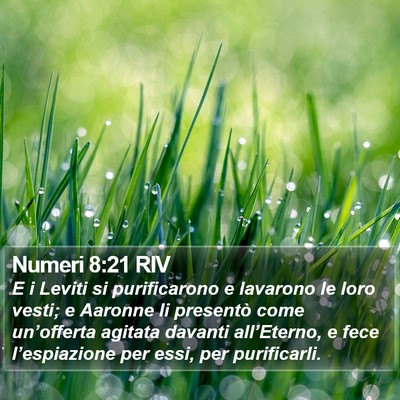 Numeri 8:21 RIV Bible Verse Image