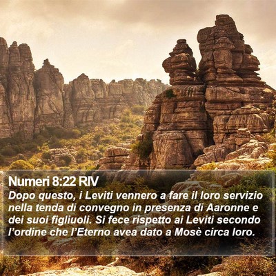 Numeri 8:22 RIV Bible Verse Image