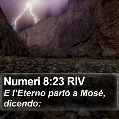 Numeri 8:23 RIV Bible Verse Image