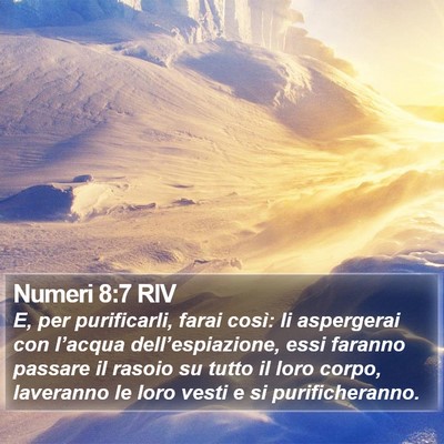 Numeri 8:7 RIV Bible Verse Image