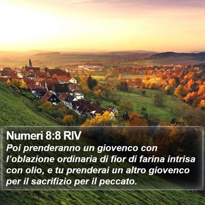 Numeri 8:8 RIV Bible Verse Image