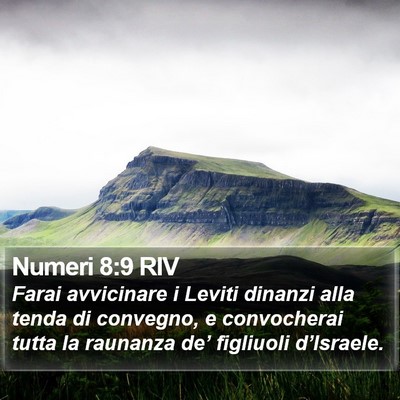 Numeri 8:9 RIV Bible Verse Image