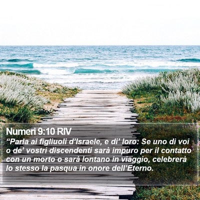 Numeri 9:10 RIV Bible Verse Image