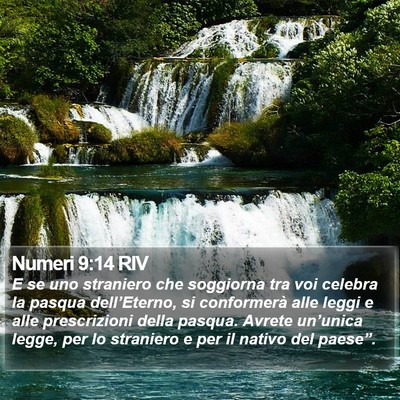 Numeri 9:14 RIV Bible Verse Image